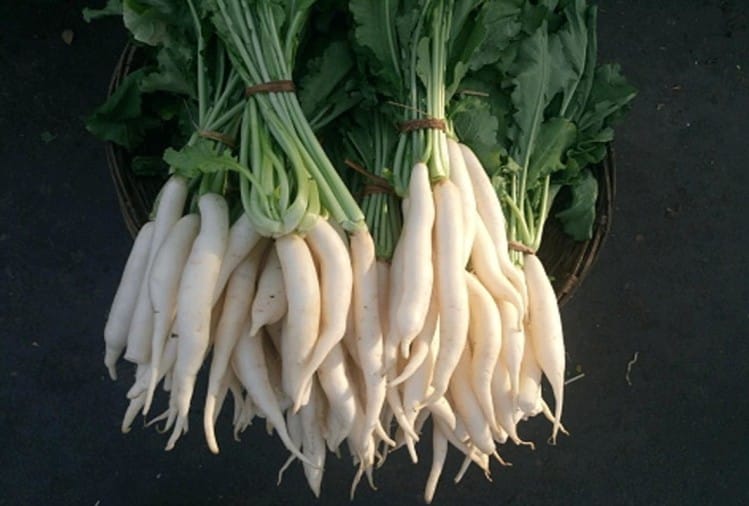 Radish Health Benefits Tips To Eat Muli To Avoid Gas And Fart Problem