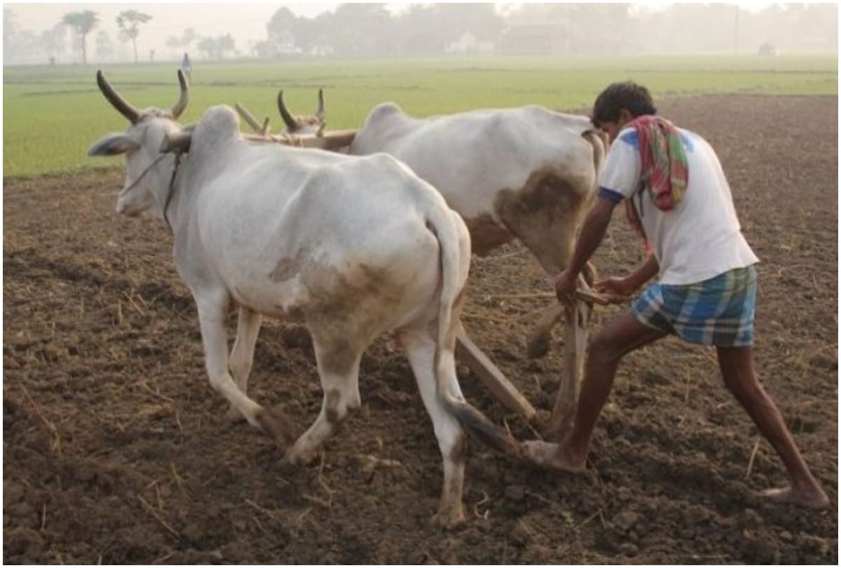 Madhya pradesh assembly election 2018: Farmers anger may affect BJP poll strategy
