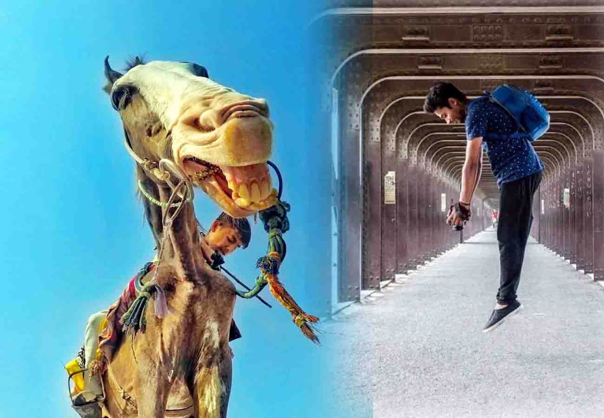 Photo of Laughing Horse Select for Camarana Academy Contest 2018