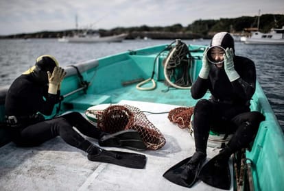 Know the story of The diver Japanese grandmother