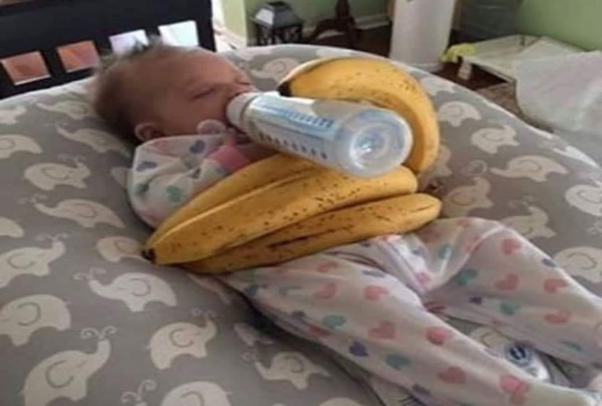 Strange And Weird Styles Of Parenting Practices See Funny Images