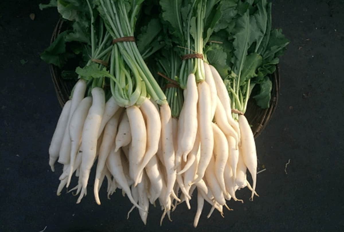 Never eat radish with these two things