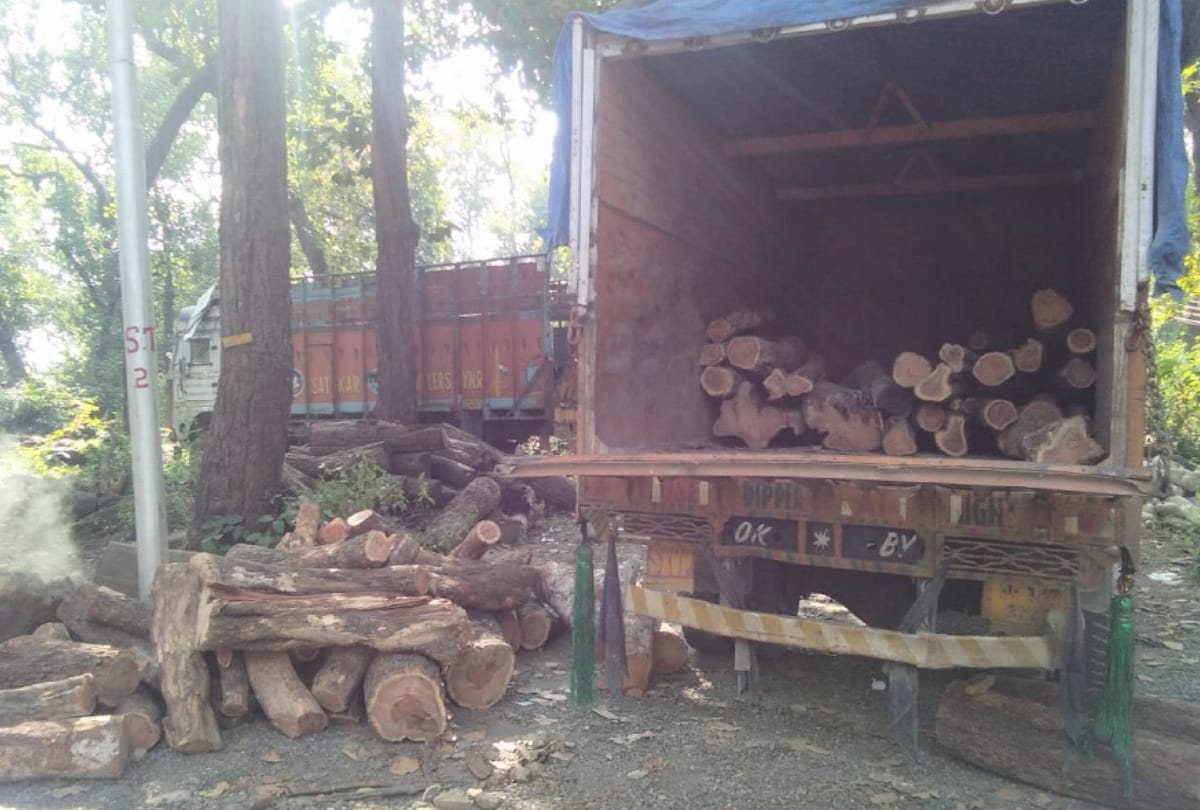Three arrested for illegal smuggling of timber at paonta sahib