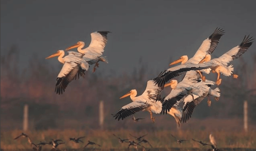 5 best places to visit near delhi 40 km to 100 km