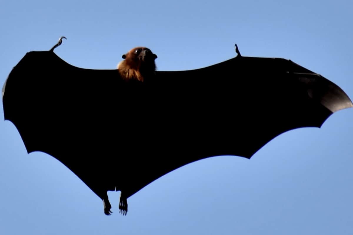 do not avoid some vastu tips