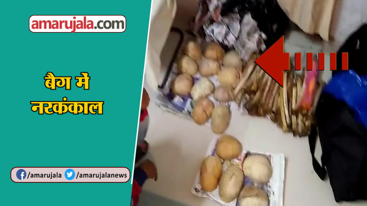 bihar news