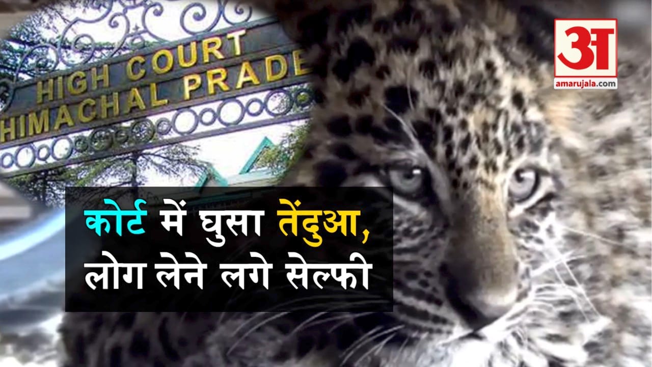 प्रतीकात्मक तस्वीर