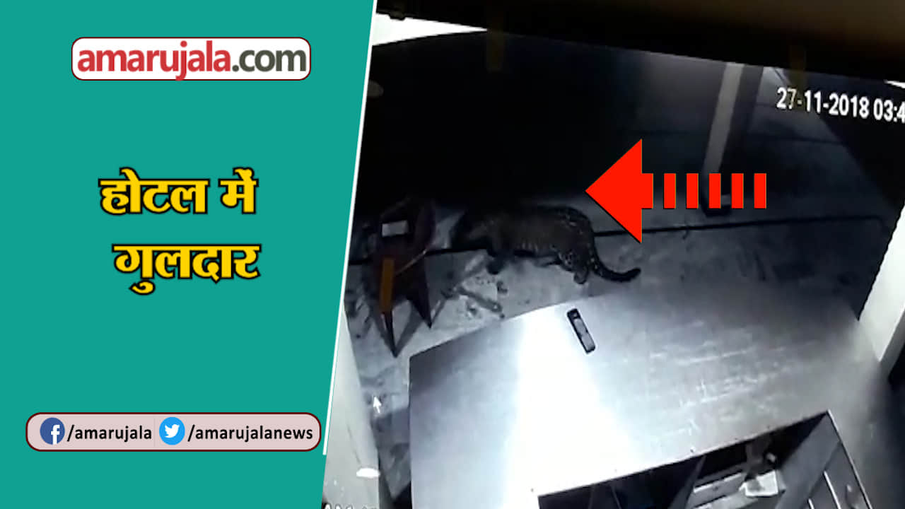 नेशनल न्यूज