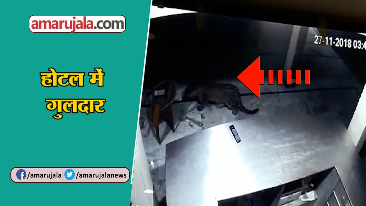 नेशनल न्यूज