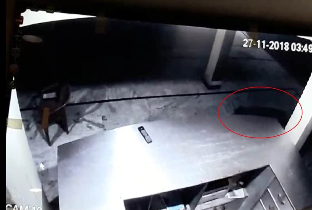 Leopard Walk in Hotel at midnight  uttarakhand
