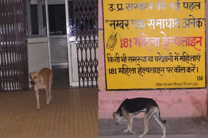 Dogs are becoming enemy of police officers in meerut here is the truth