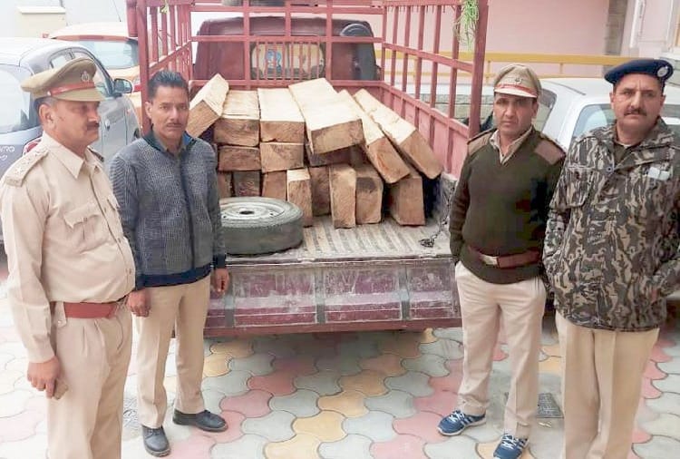 देवदार के 19 स्लीपर पकड़े, जीप जब्त