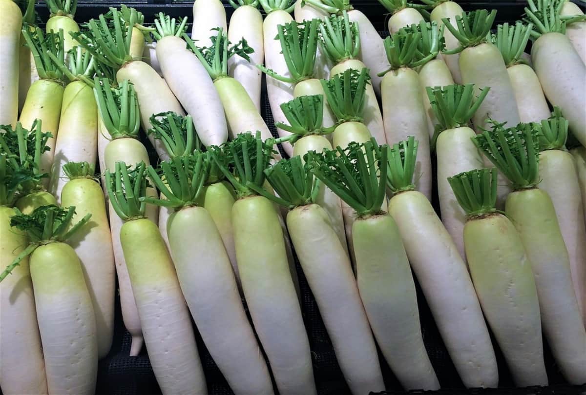 Never eat radish with these two things