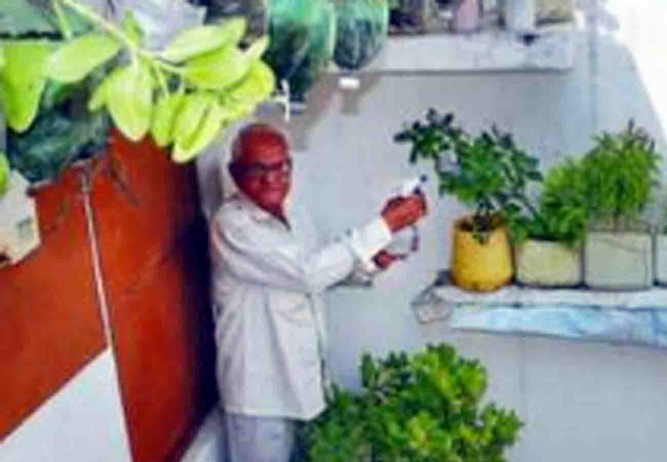 Learn how to use junk story about Harish chandra Arya