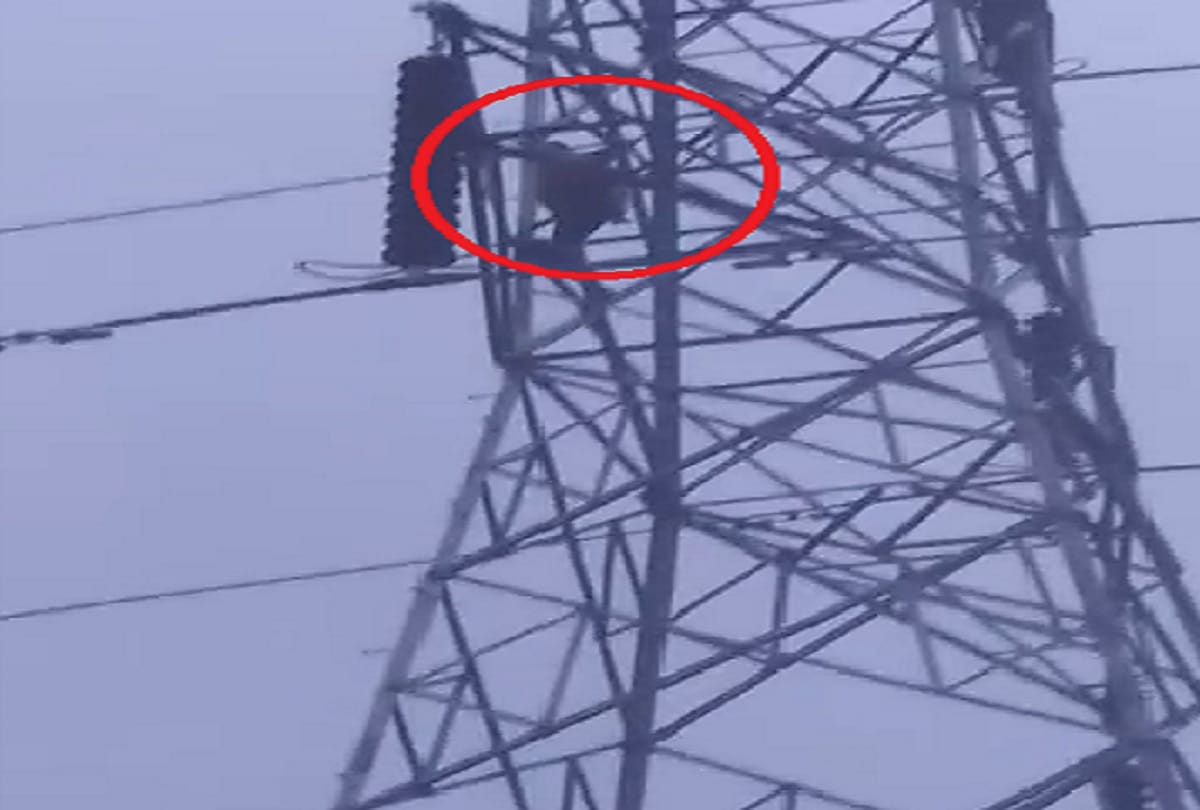 Man Climb on Electric Tower with his six month old daughter in agra