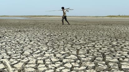 dry and torrid summer land and ocean temperature increased in January 2019
