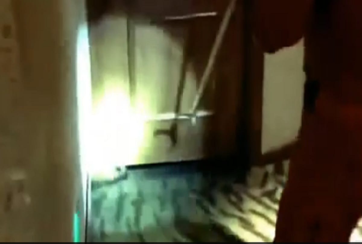 man uses snakes to rape woman dies after bite in china