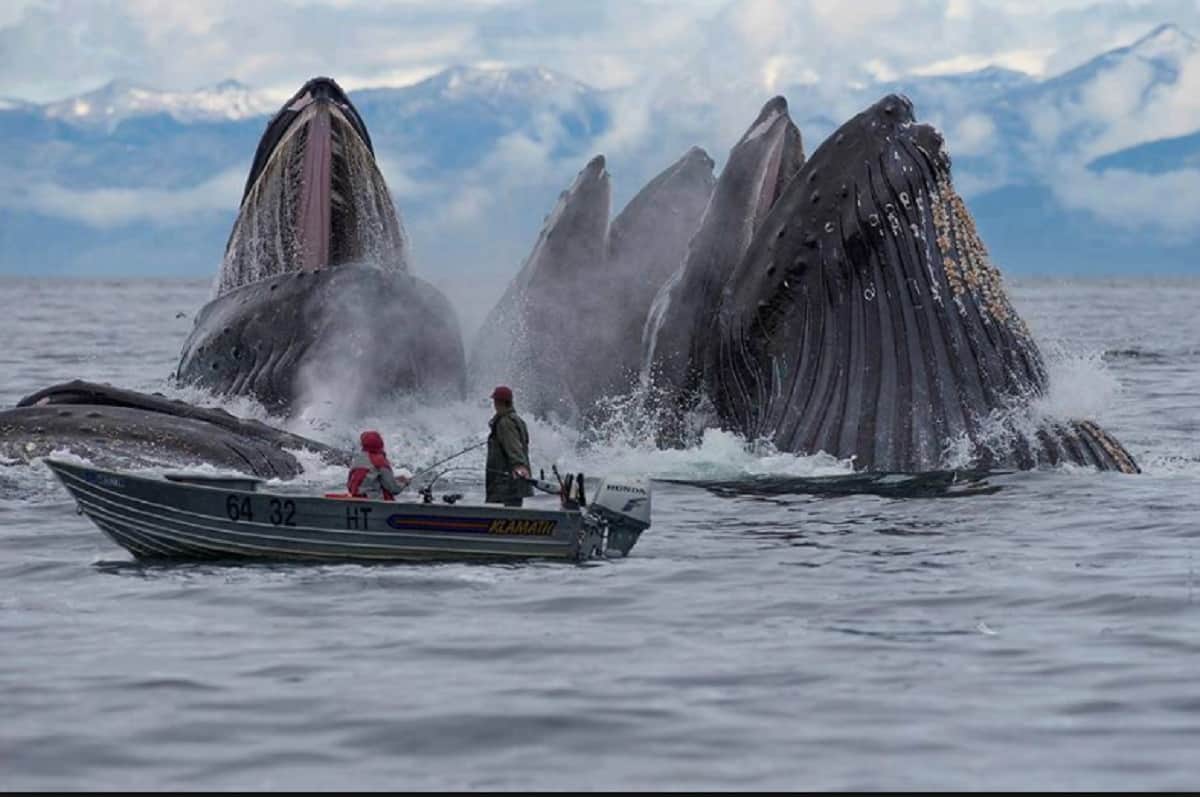 Interesting story about the Discovery of New zealand