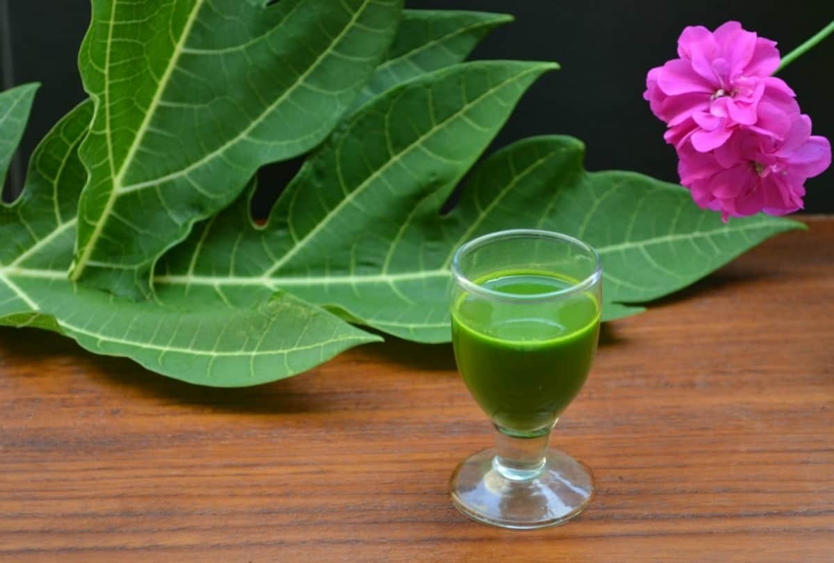 surprising health benefits of papaya leaf juice