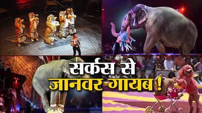 soon ban on the animals in the Circus