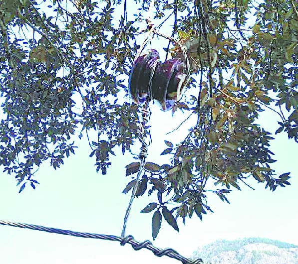 Running strings of 440 bolts on trees