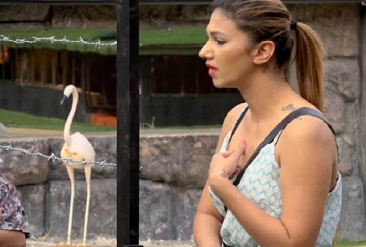 Bigg Boss 12 Not Jasleen Matharu Megha Dhade may be evicted this week