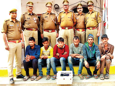 Thieves gang robbed, six arrested