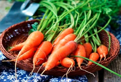 Sunday Skin Care: गाजर से बनाएं खूबसूरत और बेदाग त्वचा... 2 Skin Care Tips For Hand In Winter - Amar Ujala Hindi News Live - सर्दियों में रखना है रूखें और बेजान हाथों का ख्याल, तो ये रहे कुछ आसान से टिप्स