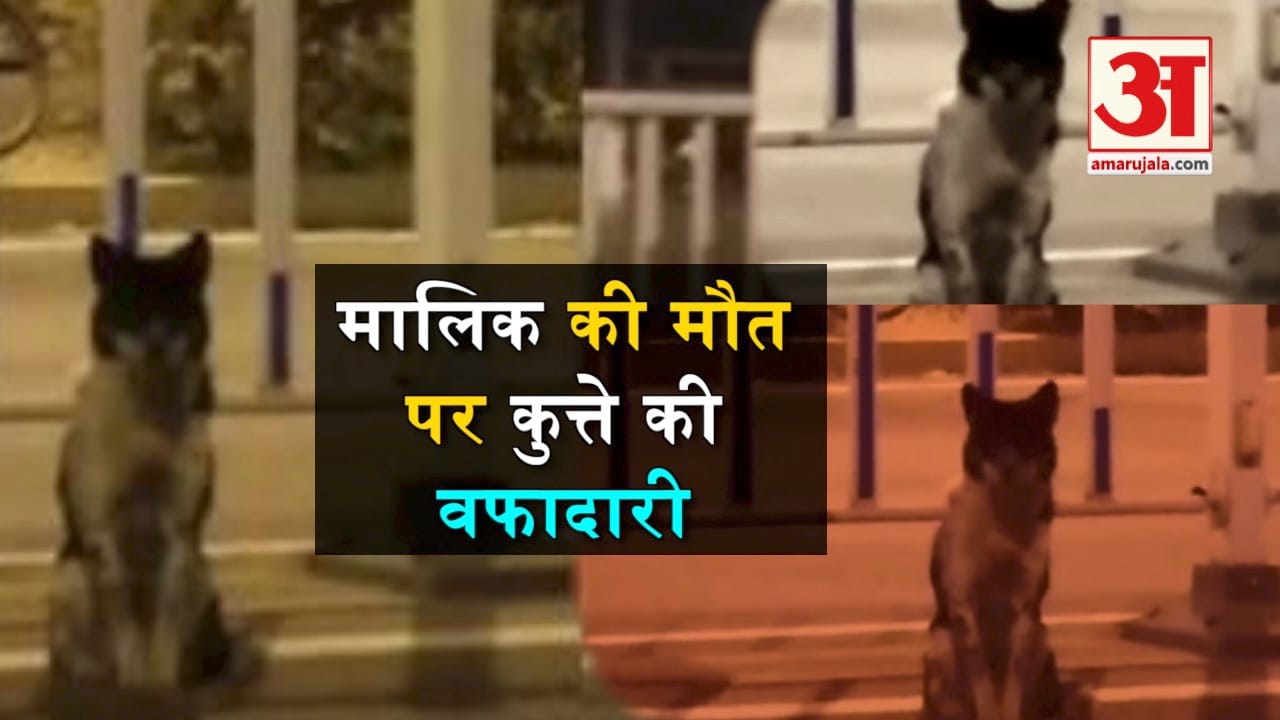 प्रतीकात्मक तस्वीर