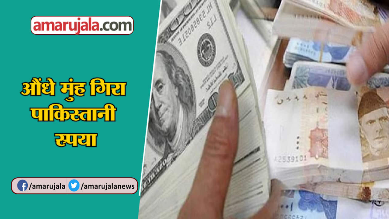 इंडिया न्यूज