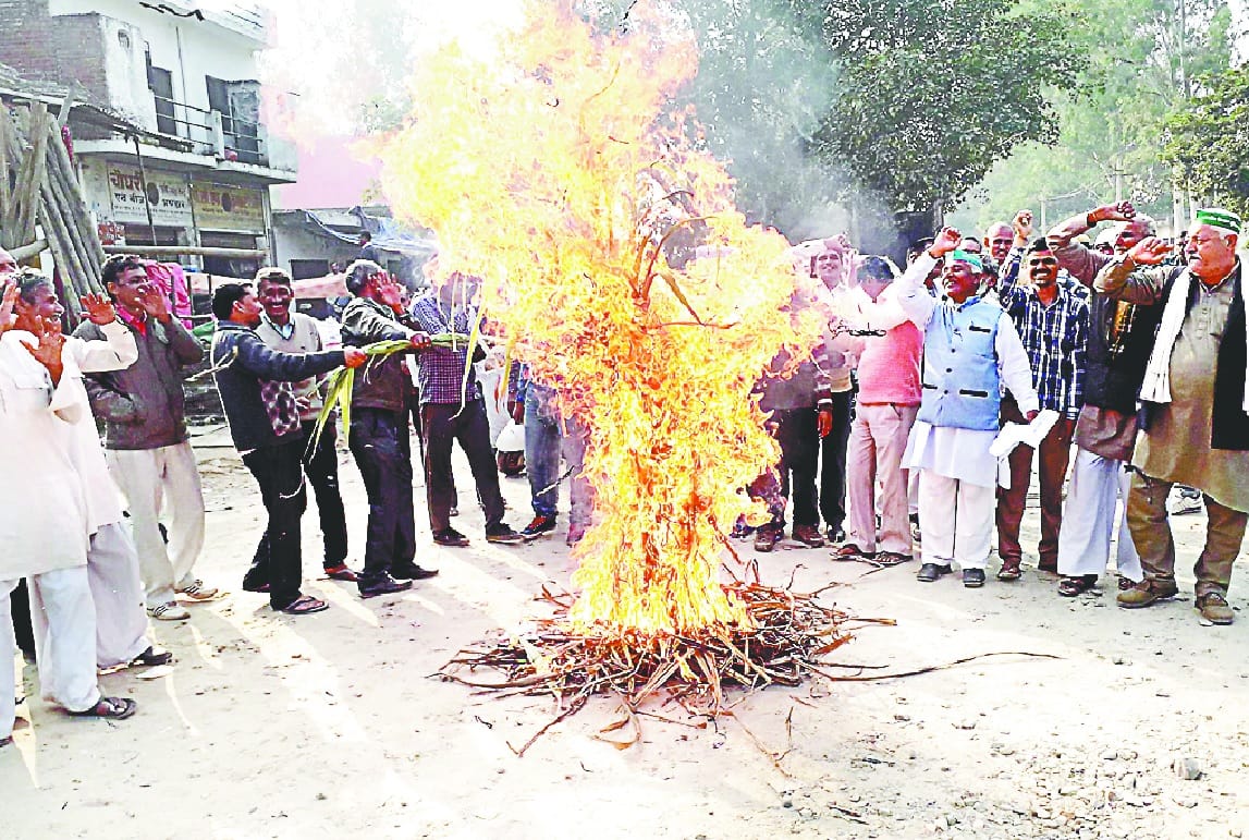 Farmers celebrate Holi with sugarcane
