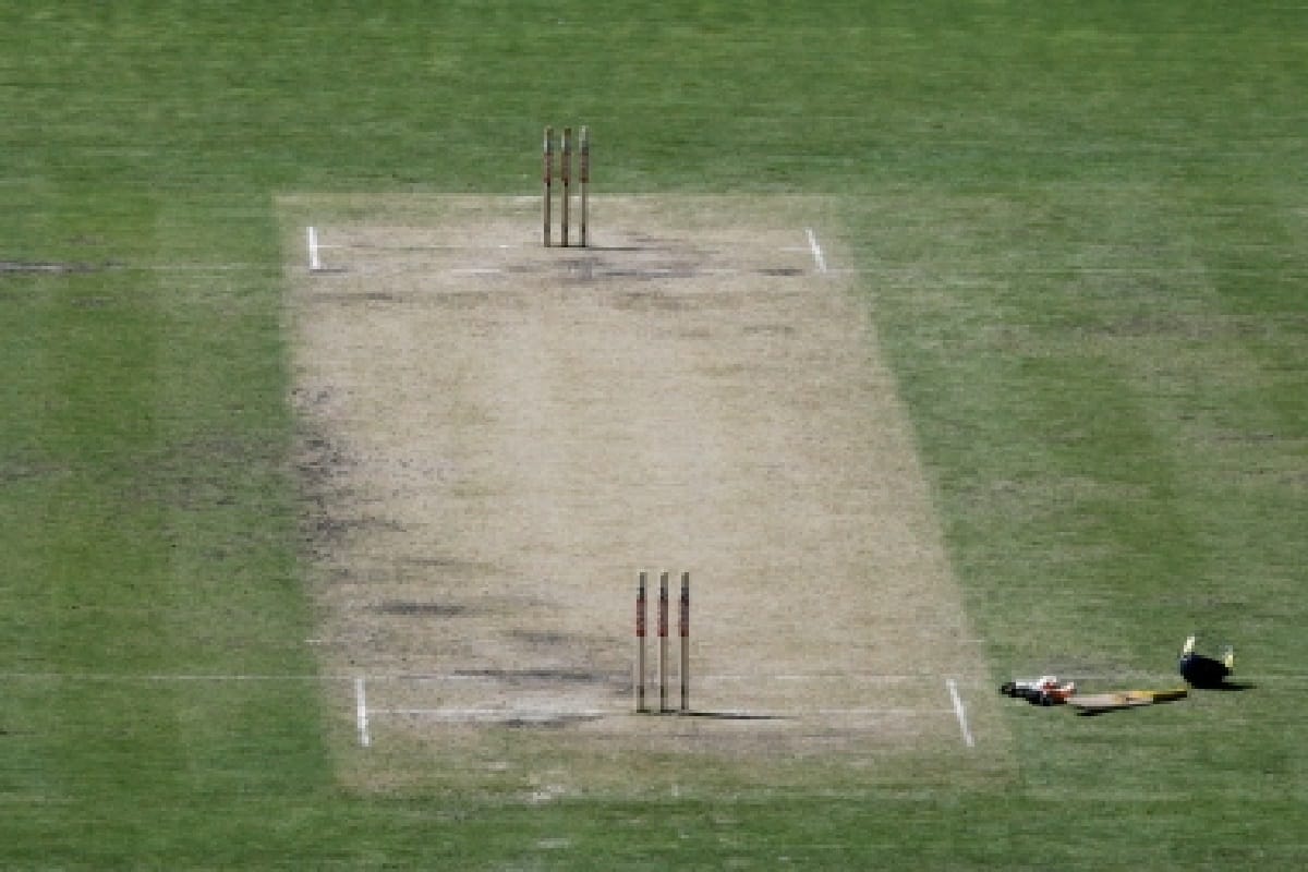 curator Damien Hough says Green pitch expected at Adelaide in first Test