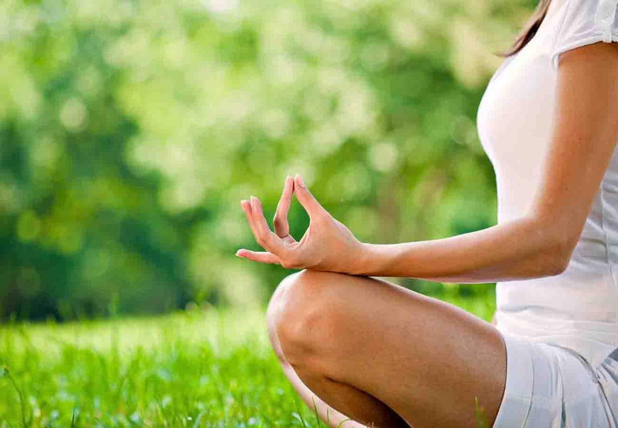 Do research on yoga and meditation