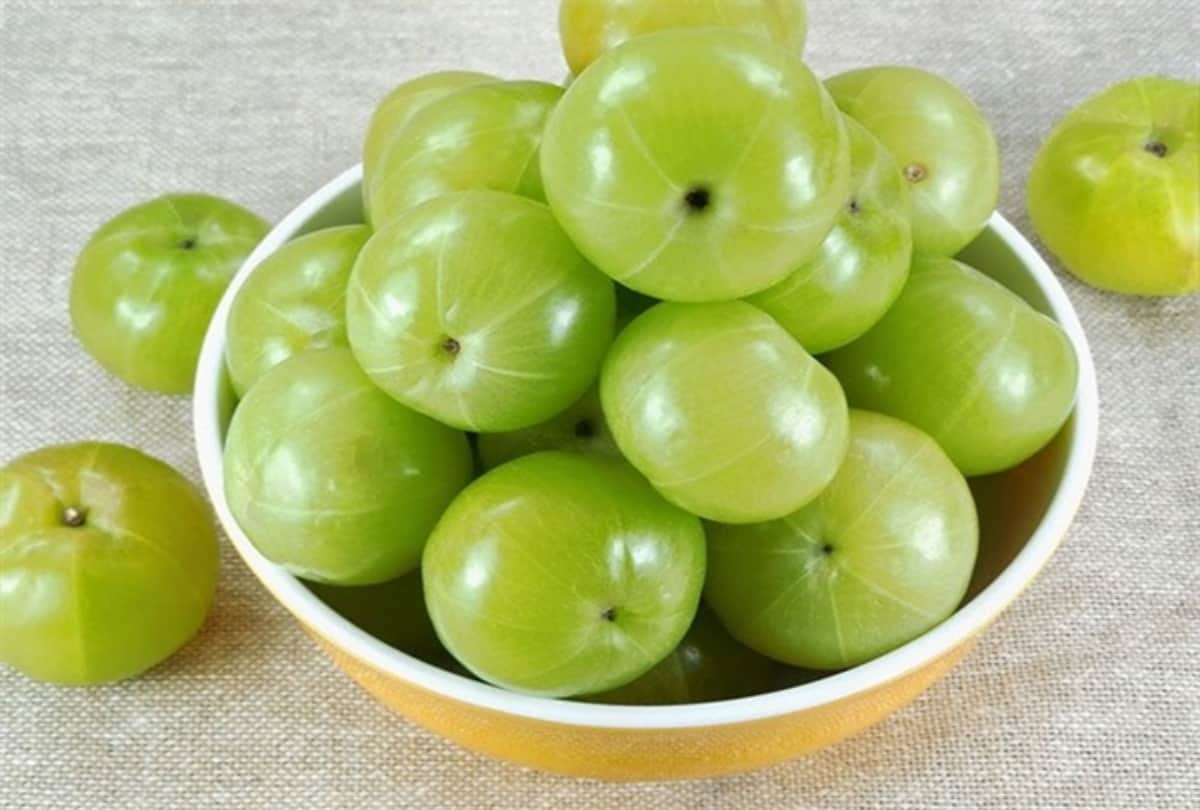 gooseberry side effects disadvantages amla eating effects on health