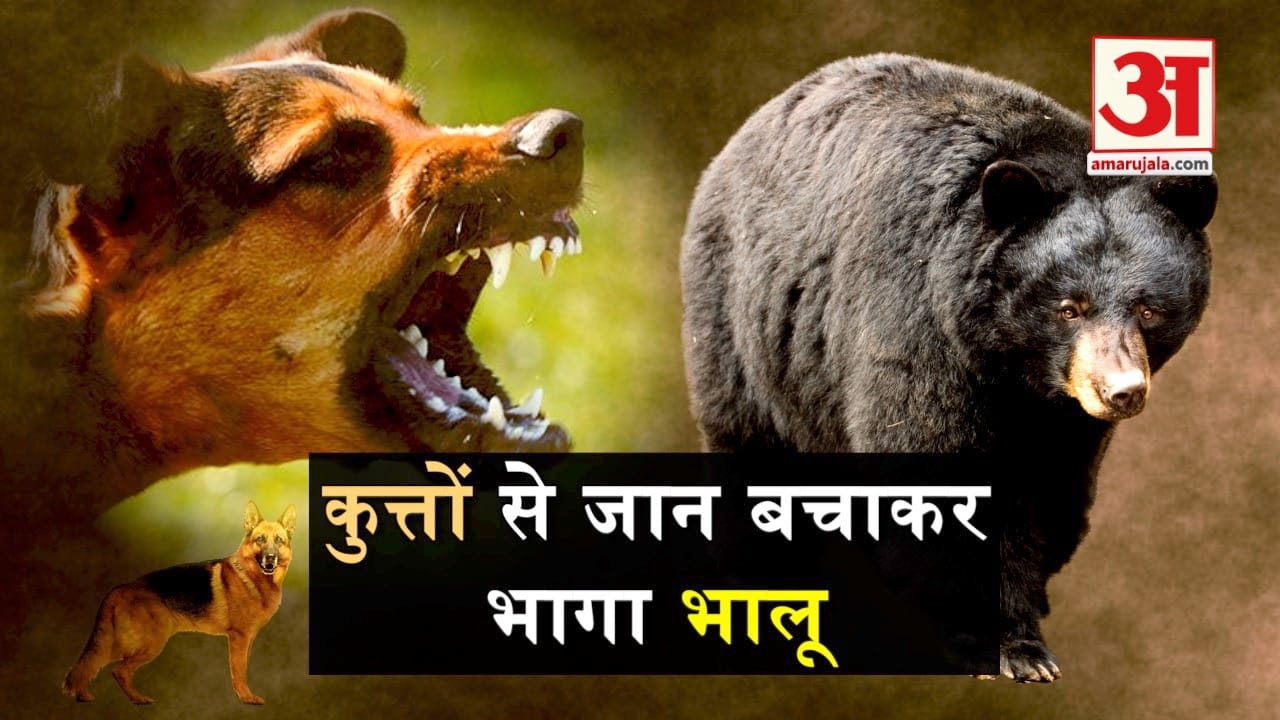 प्रतीकात्मक तस्वीर