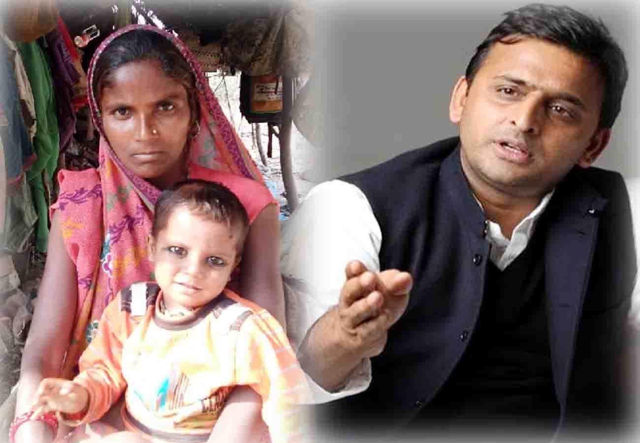 डेमो पिक