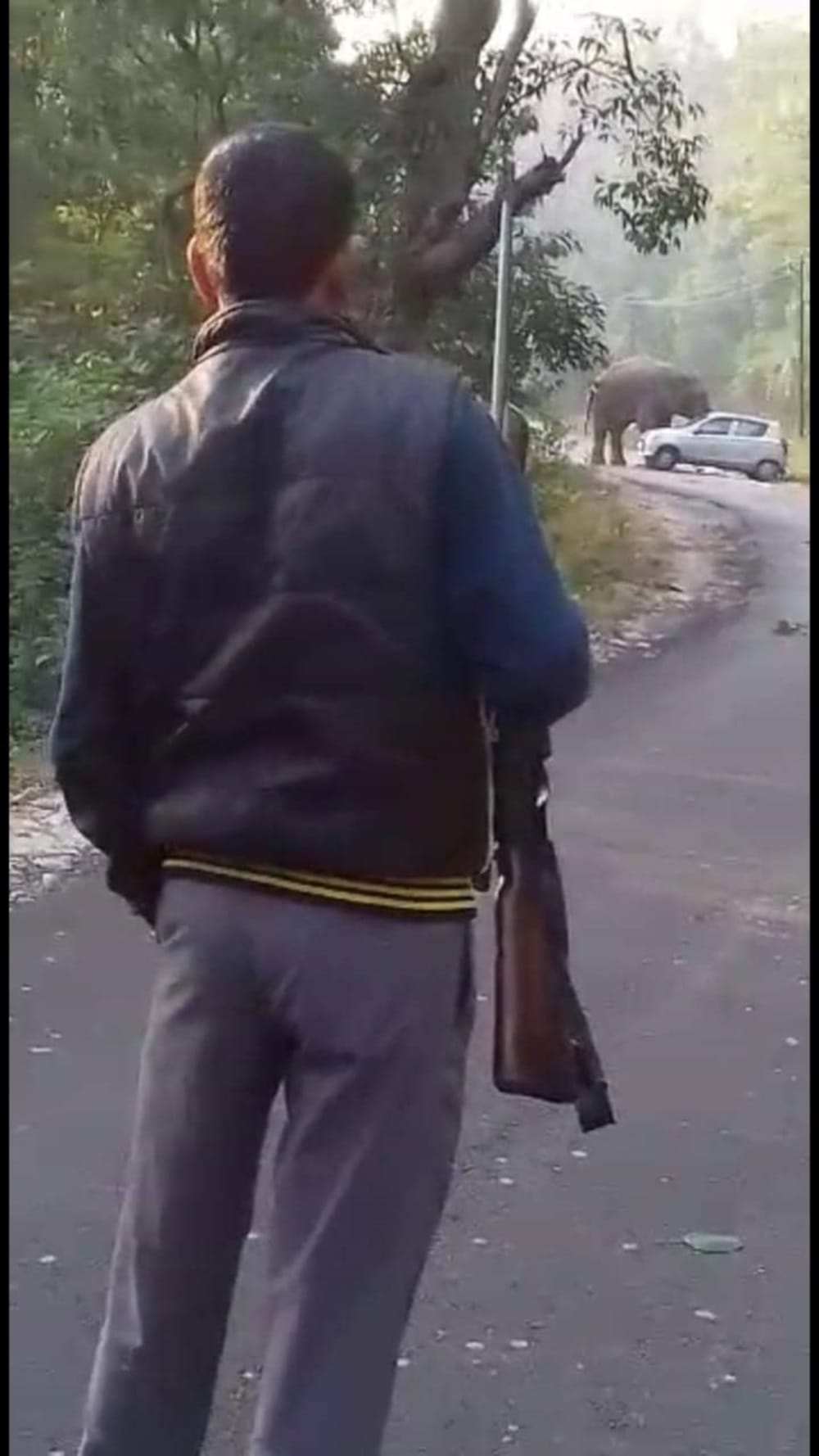 angry elephant turn teacher car in ramnagar