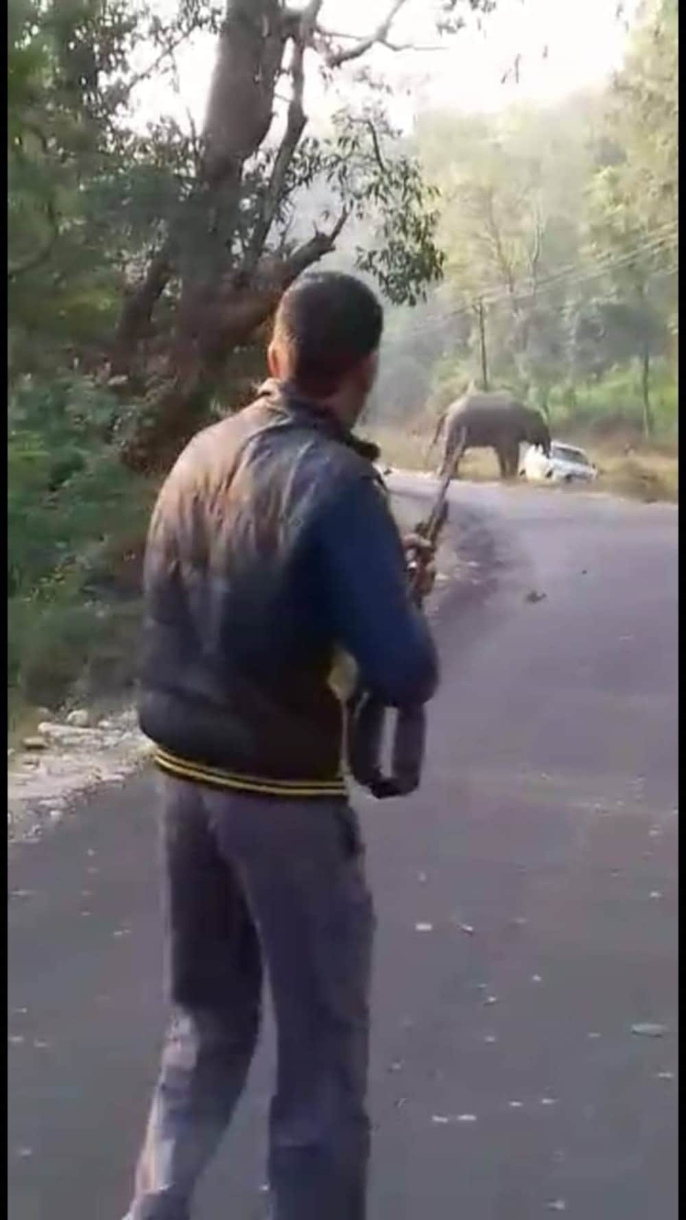 angry elephant turn teacher car in ramnagar
