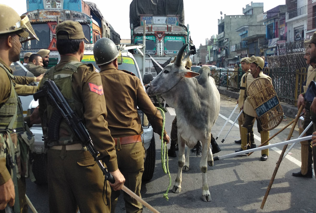 Jammu and Kashmir: a concession attempts to break the barrier, dies in CRPF firing 