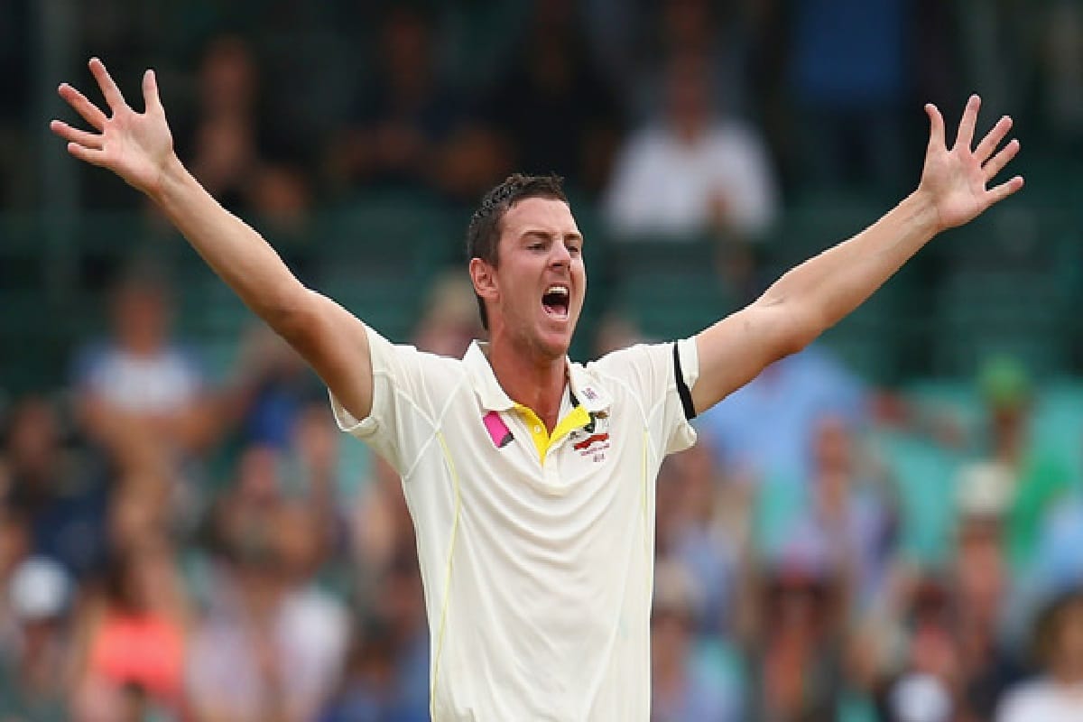josh hazlewood says we need some plans to take down virat kohli