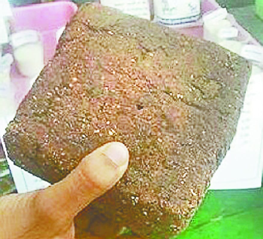 This is the chocolate of animals, know what is the benefits of feeding it to animals