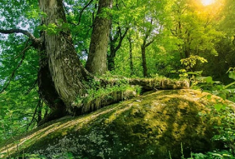 know the best place of travel in best weather