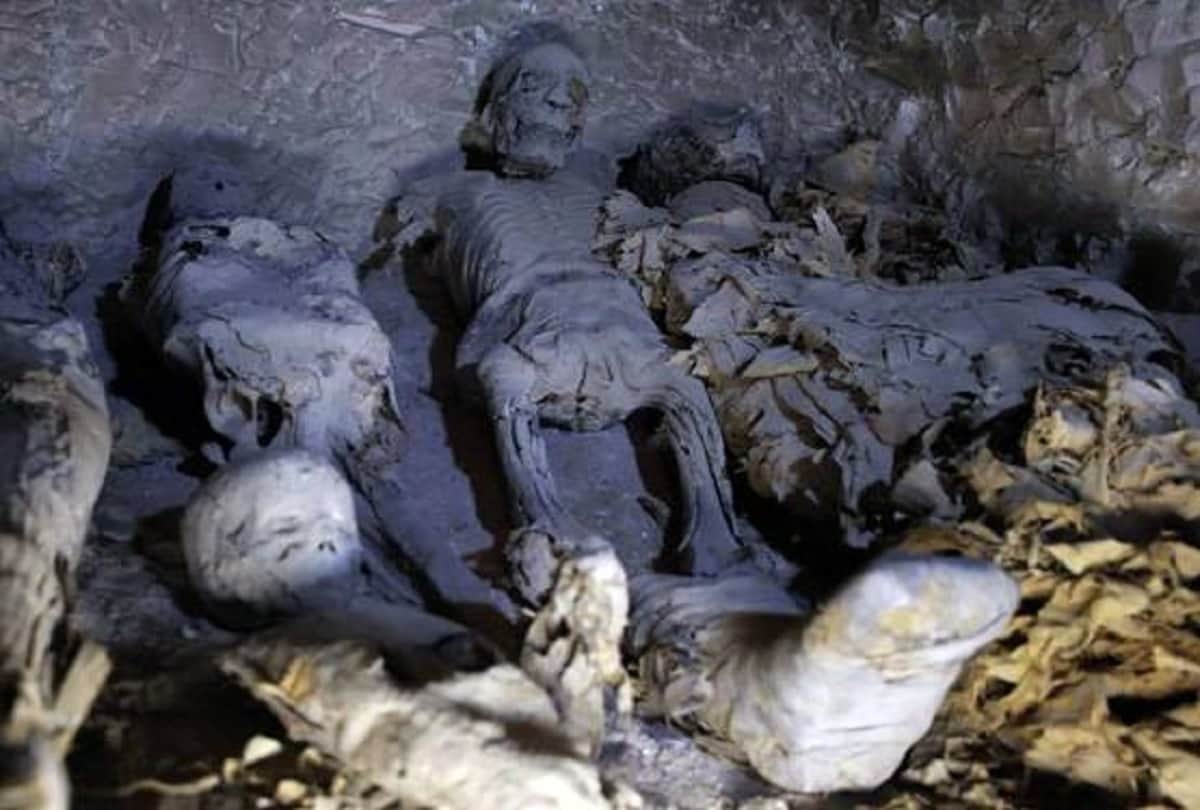 coffin opened first time after 3000 years