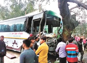 Driver dies due to tree collision, Jarrath bus, six injured
