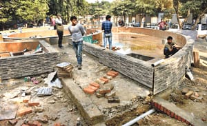Medical Education Minister will be ordered on