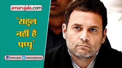 BJP MP calls rahul gandi pappu congress coucillor opposes