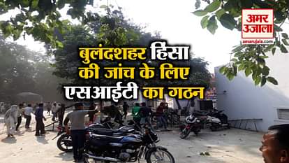 Mob violence in Bulandshahr over alleged cow slaughter, SIT will investigate the matter