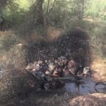 गड्ढों में जमा तेल