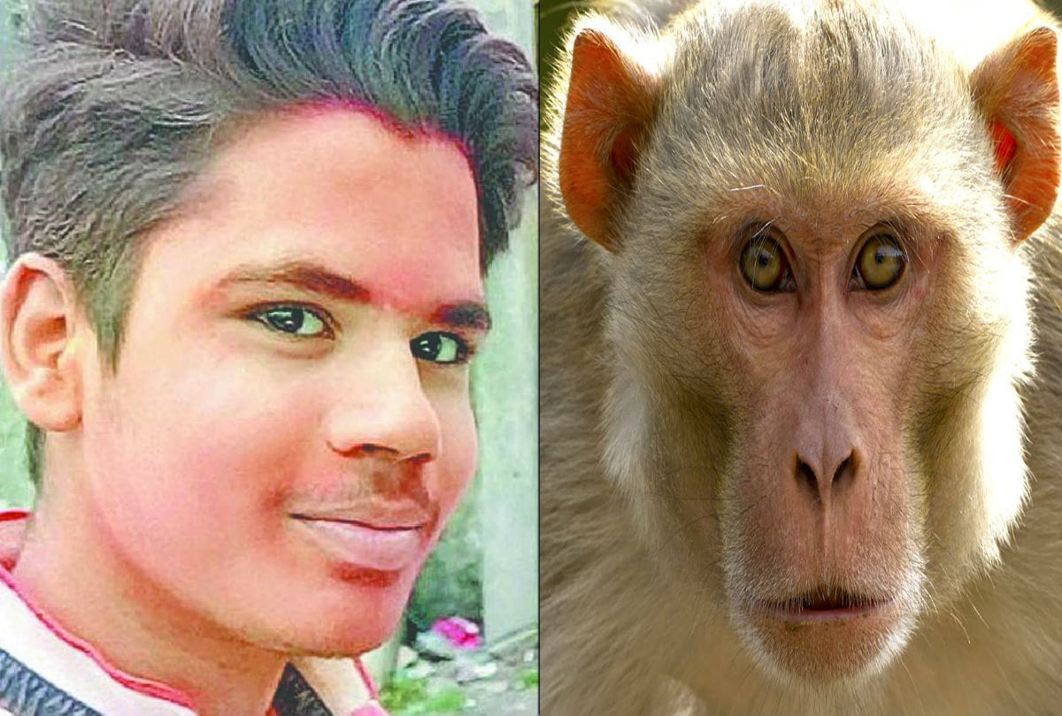 student death in monkeys attacks in kasganj