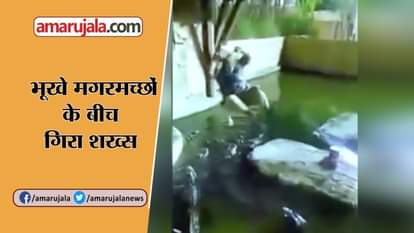 MAN FALLS INTO A POOL OF ALLIGATORS HEART-STOPPING MOMENT ORLANDO FLORIDA USA